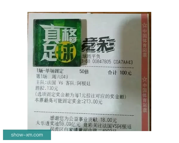世界杯竞猜网站全攻略新手入门投注技巧与赛事预测深度解析指南